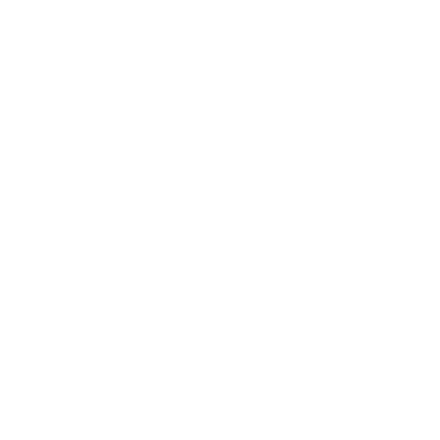 TikTok Marketing Partners