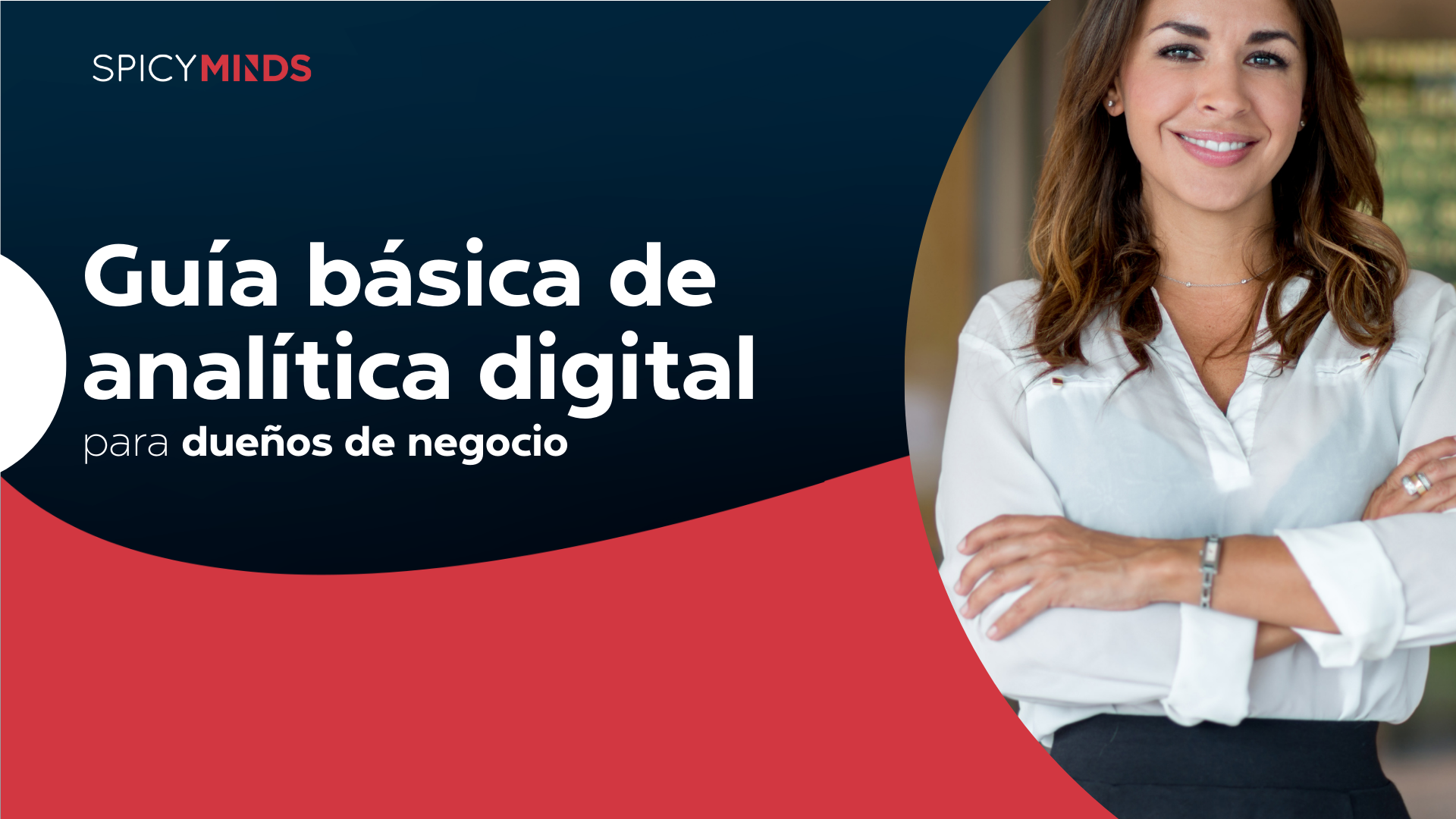 Guía básica de analítica digital para dueños de negocio